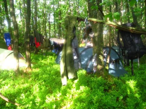 983589 10200787092713557 1271961308 n