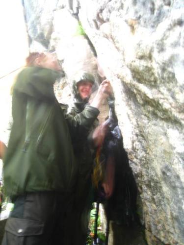 999336 10200787091753533 1802586645 n